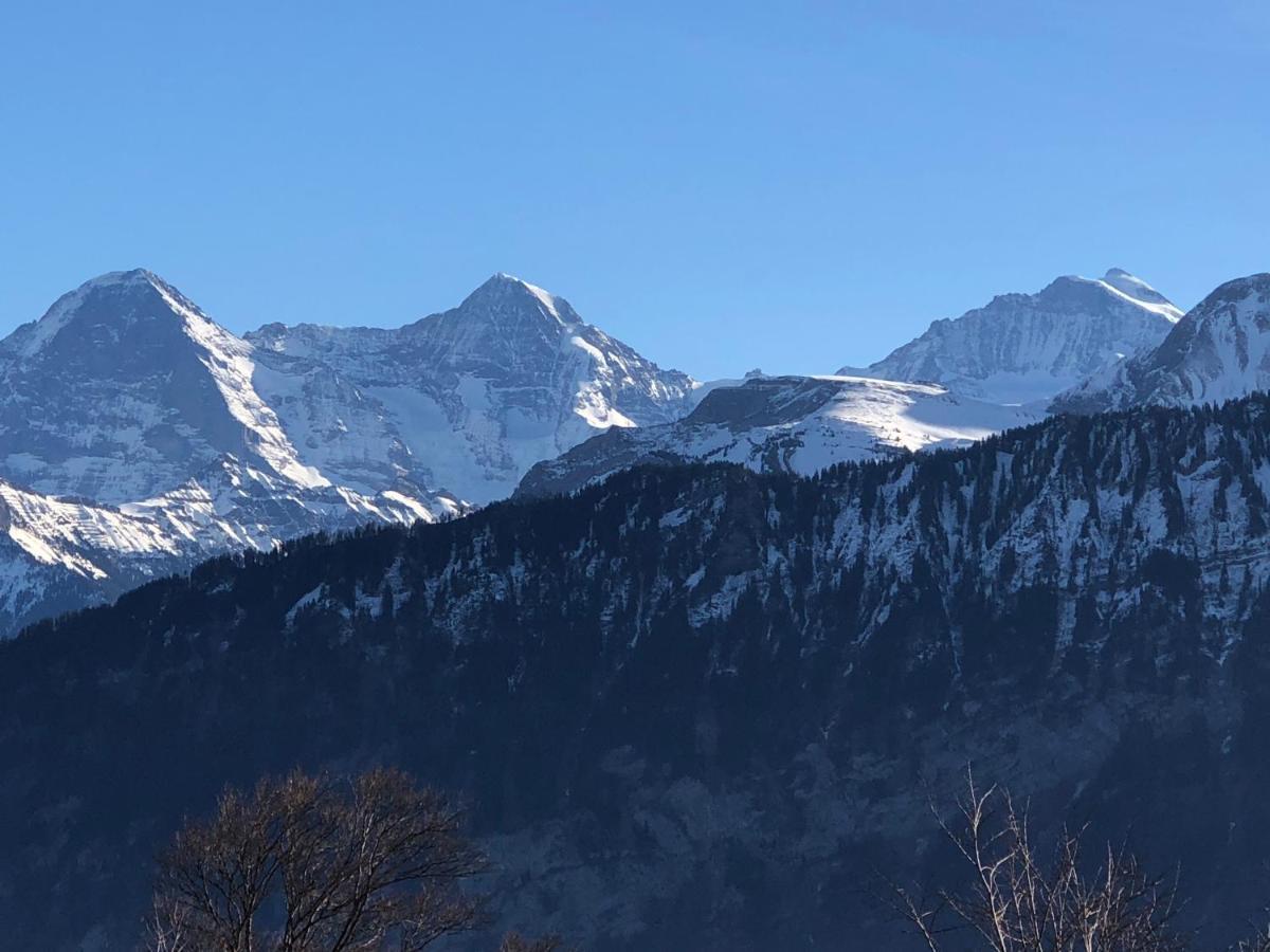 Wohnung Mit See Und Bergsicht Im Vier Sterne Hotel Beatenberg Eksteriør bilde