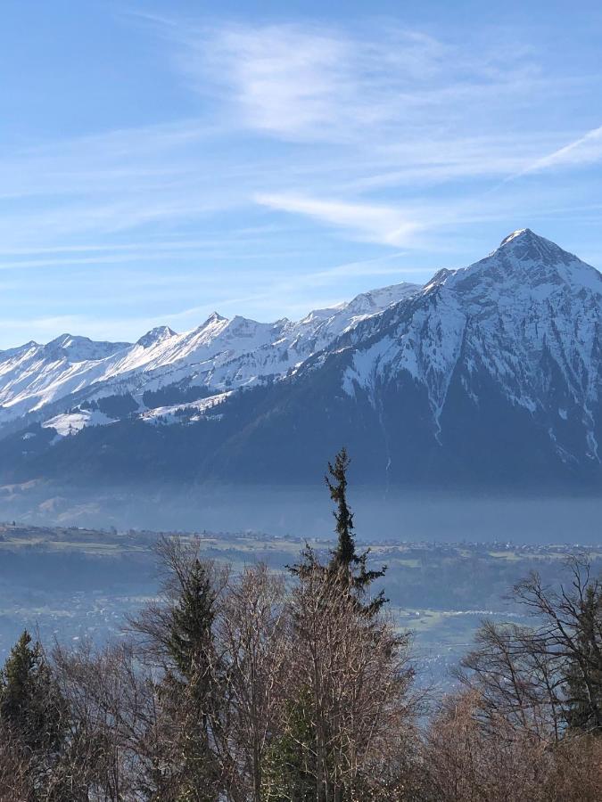 Wohnung Mit See Und Bergsicht Im Vier Sterne Hotel Beatenberg Eksteriør bilde
