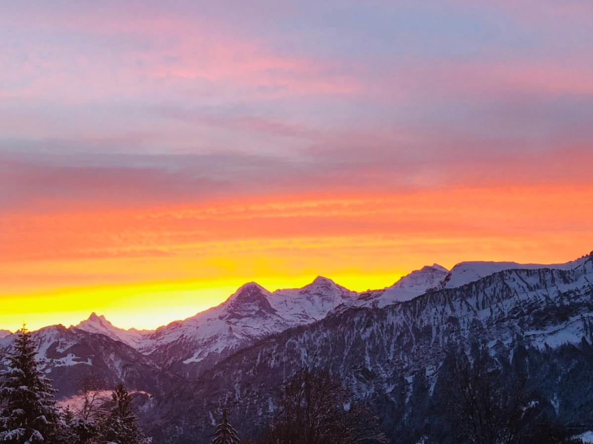 Wohnung Mit See Und Bergsicht Im Vier Sterne Hotel Beatenberg Eksteriør bilde