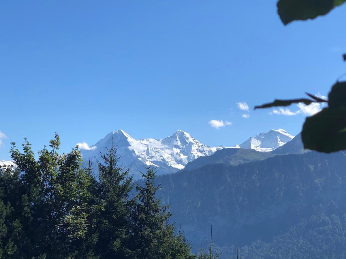 Wohnung Mit See Und Bergsicht Im Vier Sterne Hotel Beatenberg Eksteriør bilde