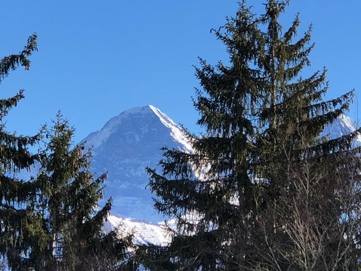 Wohnung Mit See Und Bergsicht Im Vier Sterne Hotel Beatenberg Eksteriør bilde