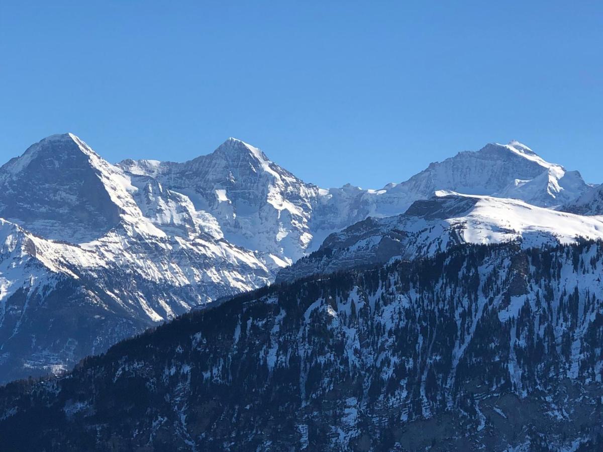 Wohnung Mit See Und Bergsicht Im Vier Sterne Hotel Beatenberg Eksteriør bilde