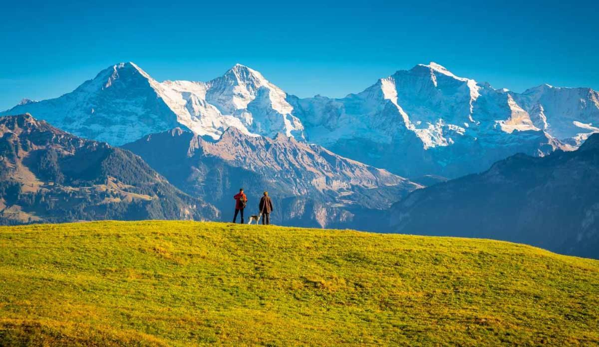 Wohnung Mit See Und Bergsicht Im Vier Sterne Hotel Beatenberg Eksteriør bilde